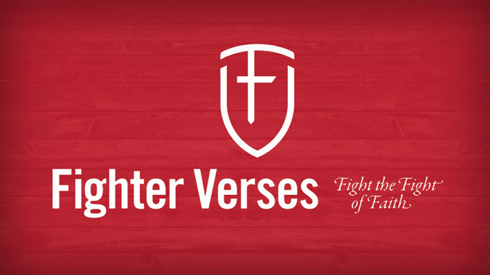 Why Fighter Verse?